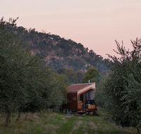 Shacky in the Olive Grove - Southport Accommodation