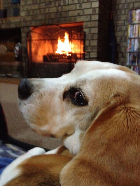 The Retreat On Matthew - Accommodation Southport 2