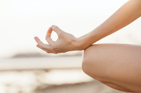 Elysian Retreat - Accommodation Southport 4