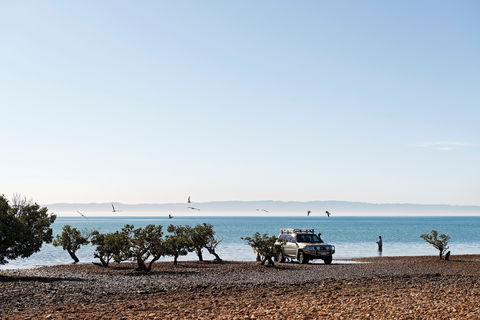 Camping At Point Lowly & Fitzgerald Bay - Southport Accommodation 0