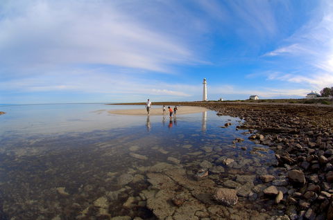 Camping At Point Lowly & Fitzgerald Bay - Southport Accommodation 3