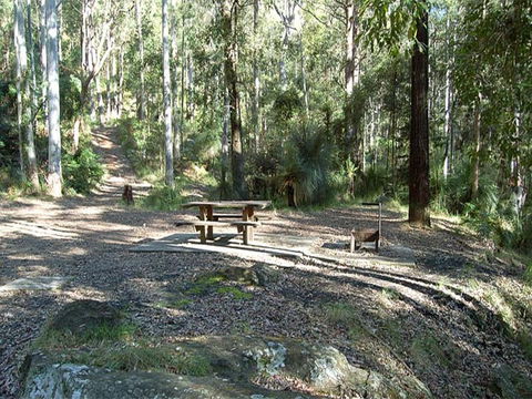 Gap Creek Campground - Southport Accommodation 1
