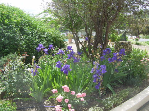 Garden Motor Inn (Golden Chain) - Accommodation Southport 7