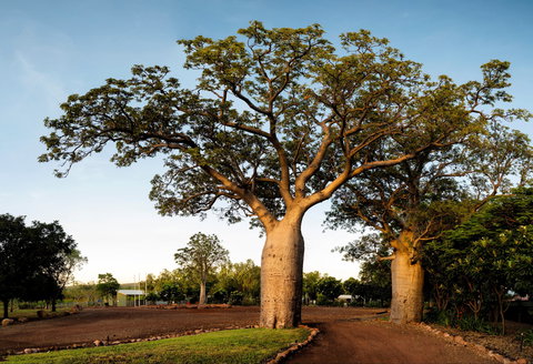 Home Valley Station - Accommodation Southport 5