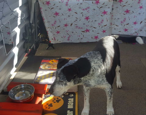 Meeniyan Motel And Bike Hire - Accommodation Southport 2