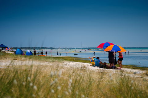 Rosebud Foreshore Camping - Southport Accommodation 0