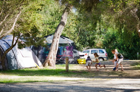 Rosebud Foreshore Camping - Southport Accommodation 2