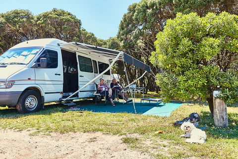 Anglesea Family Caravan Park - Southport Accommodation 2