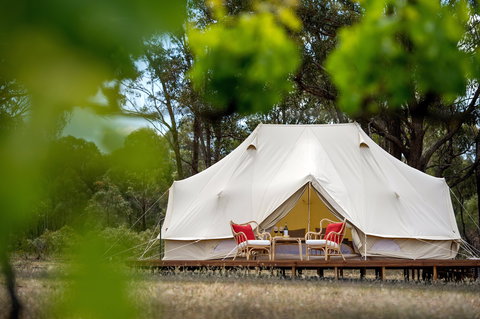 Balgownie Estate Winery Glamping & Accommodation - Southport Accommodation 0