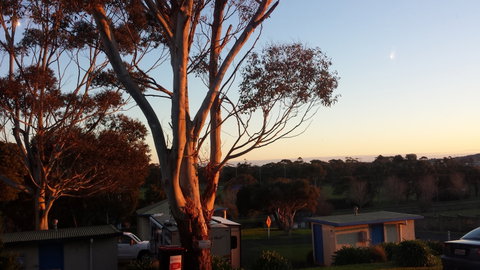 Limestone Coast Tourist Park - Southport Accommodation 1