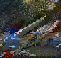 Zeehan Bush Camp - Accommodation Southport