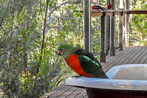 Araluen Park Cottages - Southport Accommodation 2