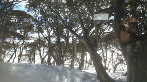 Barina Milpara Lodge - Southport Accommodation 1