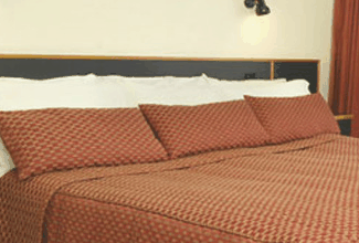 Margarets Forest Holiday Apartments - Accommodation Southport