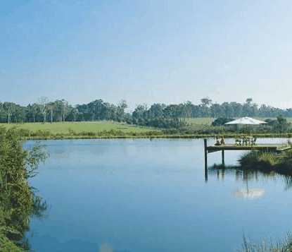 Forest Rise Eco Retreat - Accommodation Southport