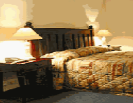 Comfort Inn Treetop Walk - Accommodation Southport