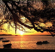 Pelican's Nest - Accommodation Southport