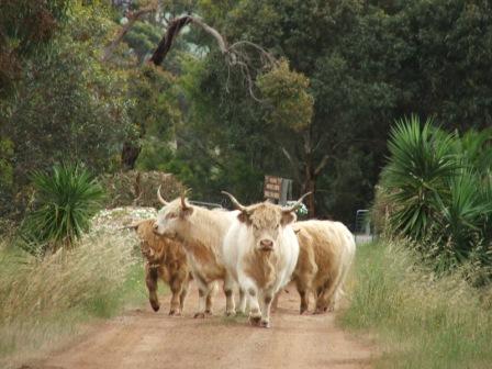 Maleeyas Thai Cafe And Studio Hillside Bamboo Nursery - Accommodation Southport 4