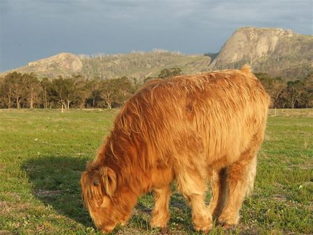 Maleeyas Thai Cafe And Studio Hillside Bamboo Nursery - Accommodation Southport 5