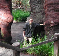 Walpole Lodge - Accommodation Southport