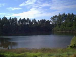 Jenny's Lake Farm B&B - Accommodation Southport 5