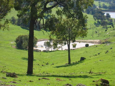 Vista Ridge Estate - Top Paddock Cottage - Southport Accommodation 3