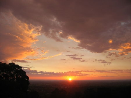 Vista Ridge Estate - Top Paddock Cottage - Southport Accommodation 5