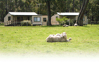 Cambray Cottages - Southport Accommodation 1
