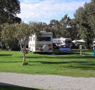 Pinjarra Caravan Park - Accommodation Southport
