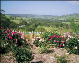 Pecan Hill - Accommodation Southport 1