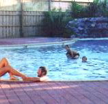 Shark Bay Caravan Park - Accommodation Southport