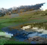 Barkeldine Farm Country Retreat - Southport Accommodation