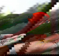 Barrington Tops Escapes - Accommodation Southport