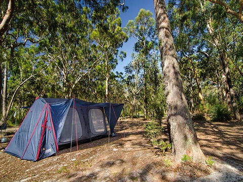 Boomeri Campground - Southport Accommodation 1