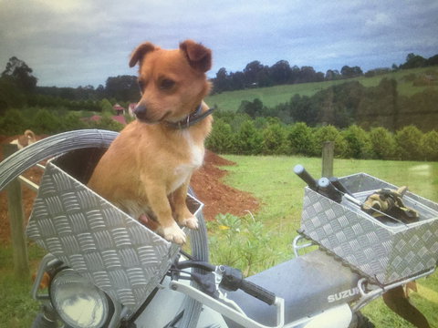 Farm Accommodation - Accommodation Southport 1