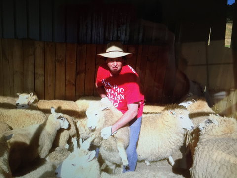 Farm Accommodation - Accommodation Southport 2