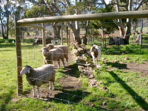 Nyroca Campsite & Group Accommodation - Southport Accommodation 2