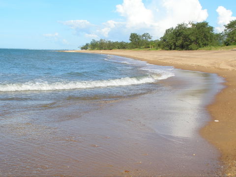 Wagait Beach Holiday Houses - Southport Accommodation 0