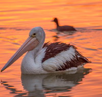 4 Pelican Court - River Shack Rentals - Southport Accommodation