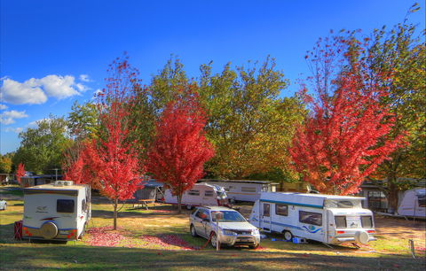 Beechworth Lake Sambell Caravan Park - Southport Accommodation 0