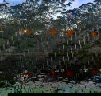 Billabong Retreat - Accommodation Southport