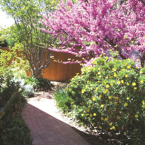 Country Gardens Motor Inn - Accommodation Southport 1