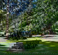 Dingo Tops campground - Southport Accommodation