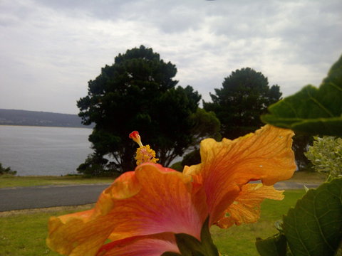 Eden Oceanview - Accommodation Southport 1