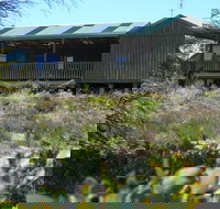 Melaleuca - Eco and Pet Friendly  Harbor Point Cabins - Southport Accommodation