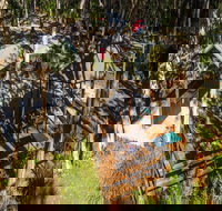 Reflections Holiday Parks Hungry Head - Accommodation Southport