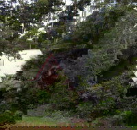 Turkeys Nest Rainforest Cottages Mt Glorious - Accommodation Southport