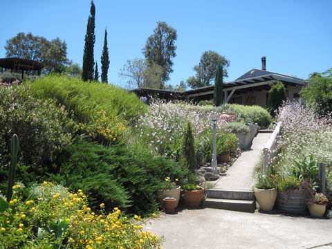 Valley View Cottage Hunter Valley - Southport Accommodation 0