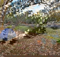 Woolpress Bend campground - Accommodation Southport