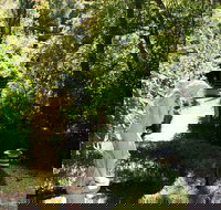 Aldgate Lodge Bed  Breakfast